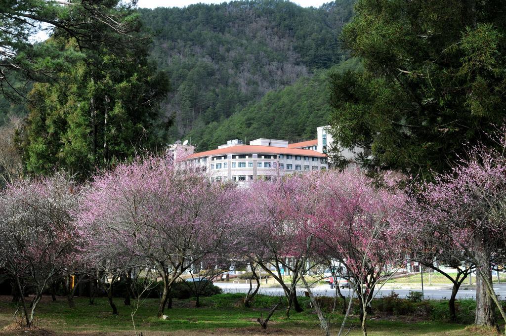 Hoya Resort, Wuling Taian  Bagian luar foto